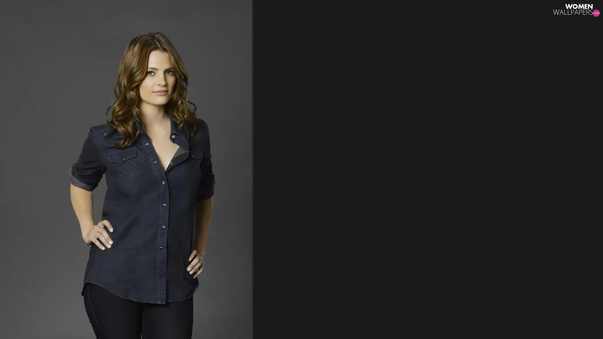 Handsome, Stana Katic