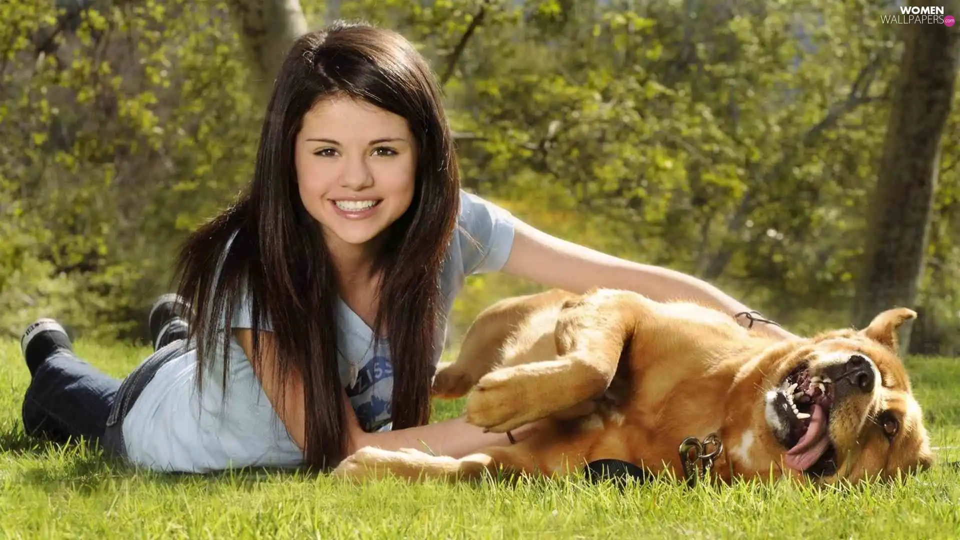 dog, Selena Marie Gomez, Meadow