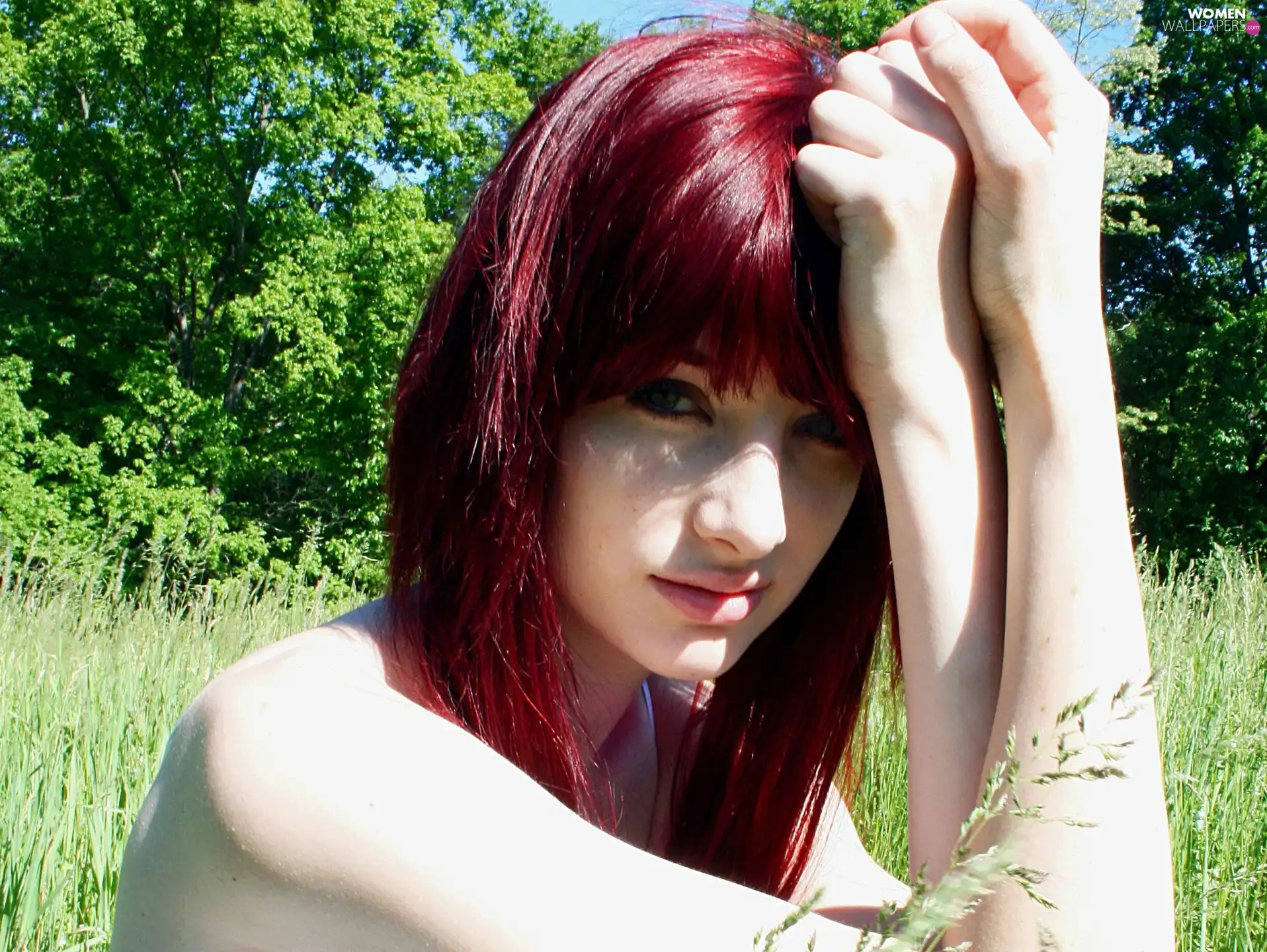 Susan Coffey, Meadow