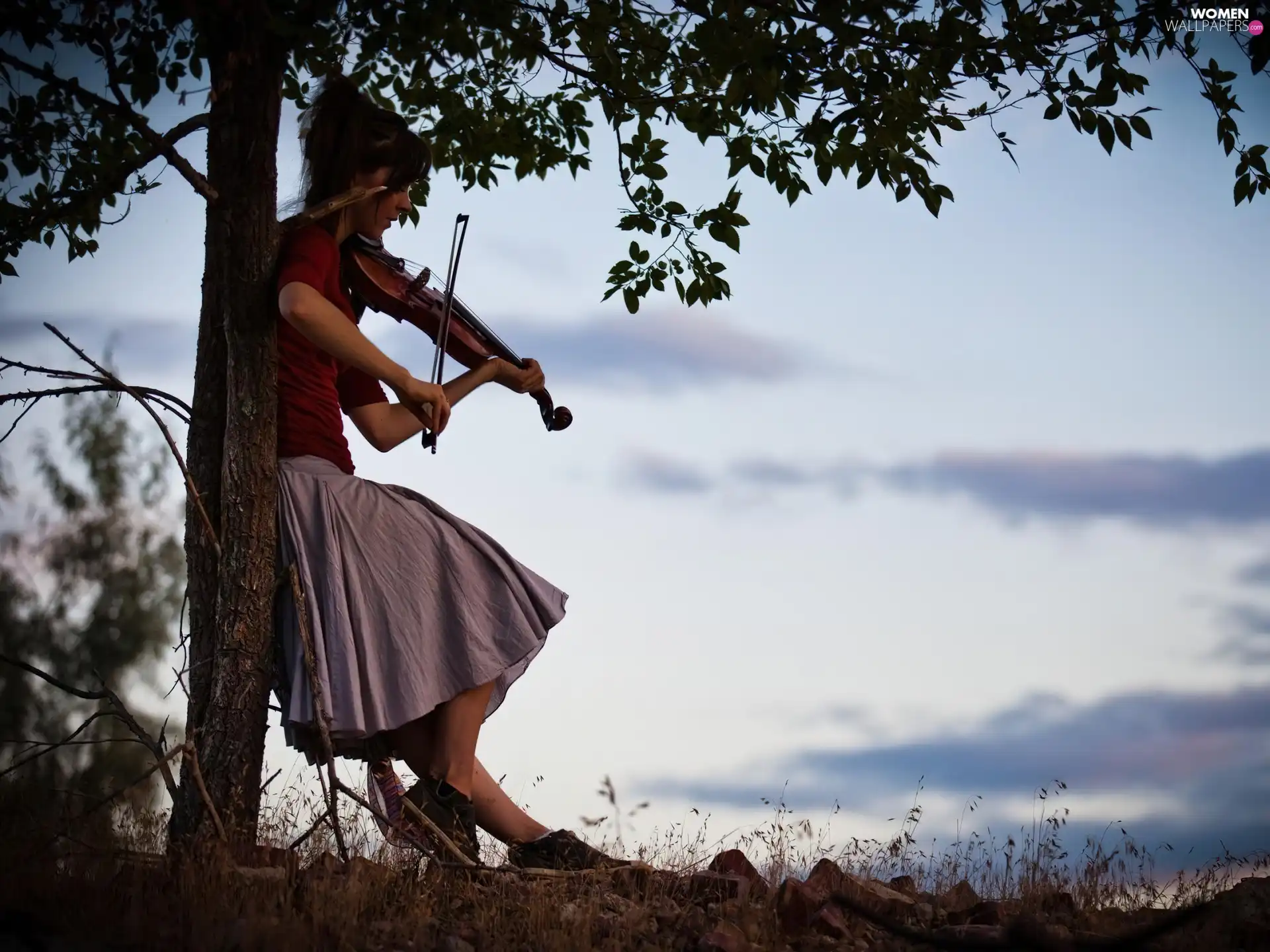 trees, lindsey stirling, violin