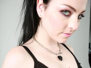 Amy Lee, The look